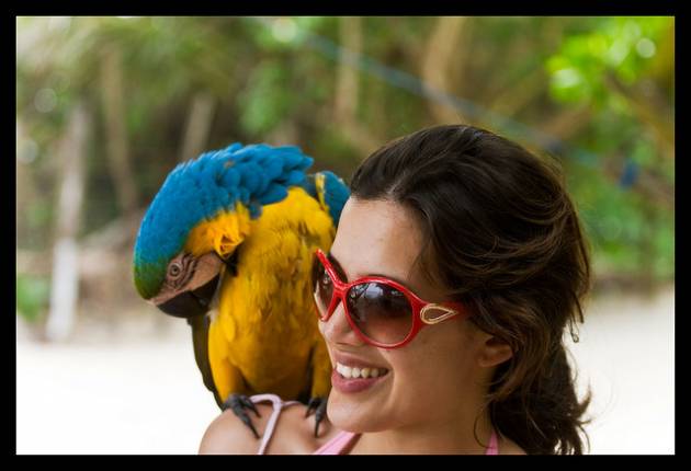 colombian-women-bird
